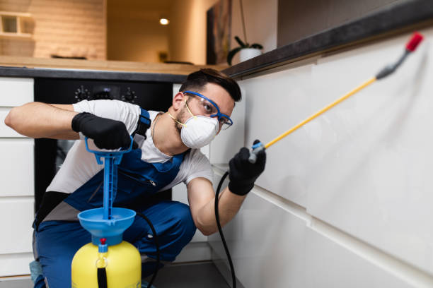 Best Cockroach Control Services  in Ouray, CO