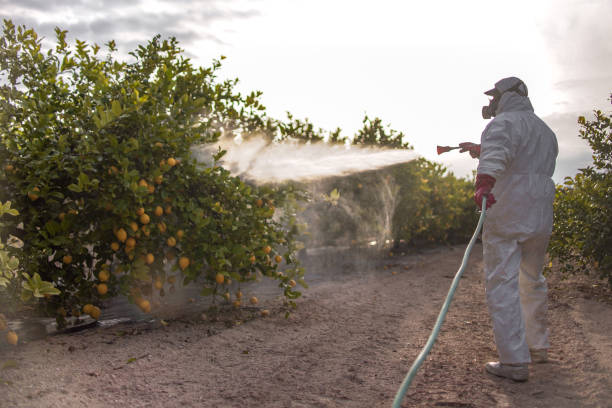 Best Best Pest Control Companies  in Ouray, CO