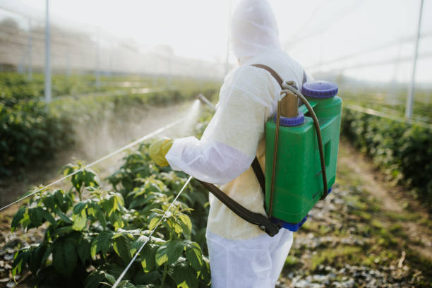 Best Flea Control Services  in Ouray, CO